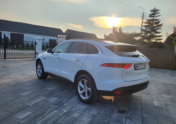 Jaguar F-Pace cena 169500 przebieg: 17500, rok produkcji 2020 z Wyszków małe 742